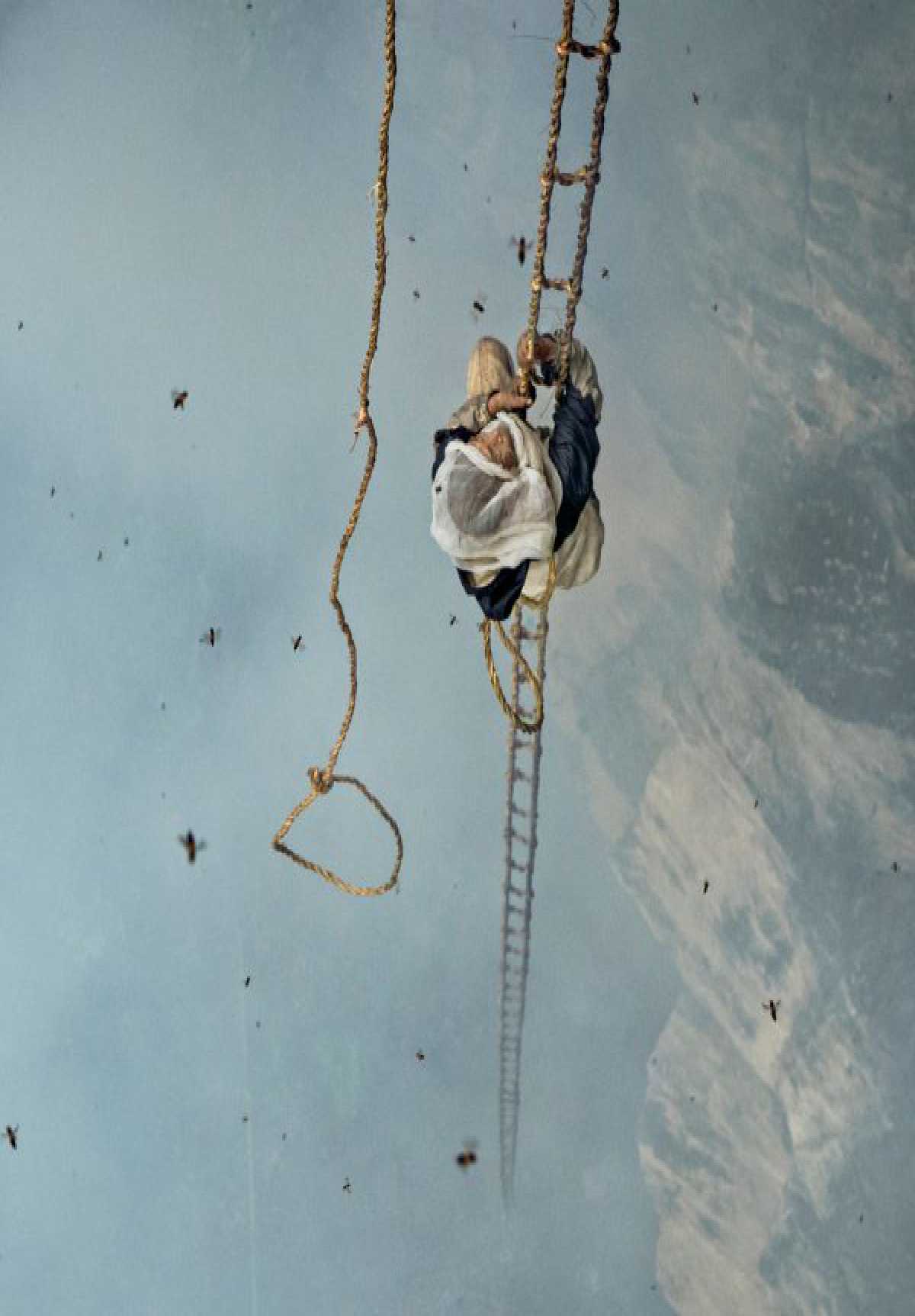 The Last Honey Hunter